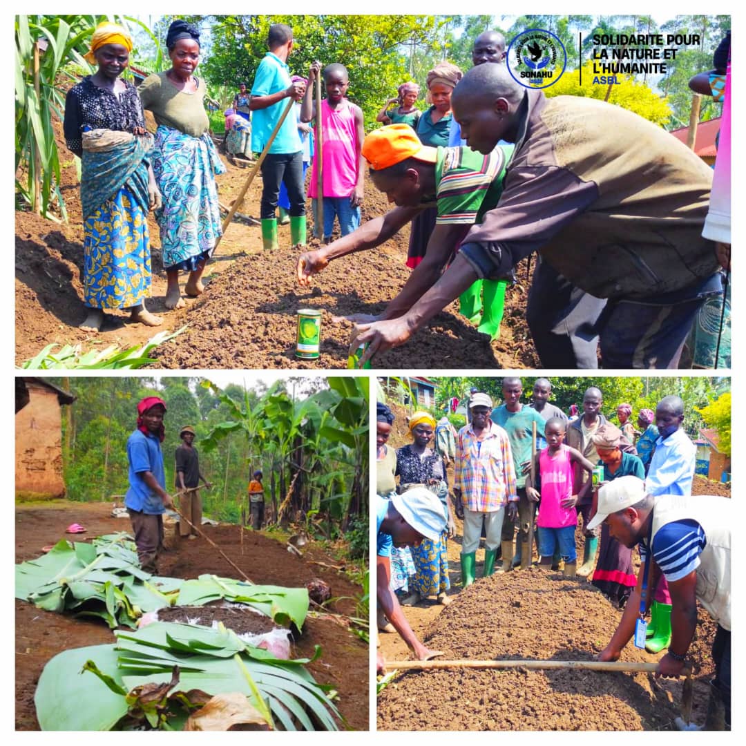 Masisi : Préparation des jardins maraîchers et accompagnement des ménages dans les aires de santé de Loashi et Mutiri